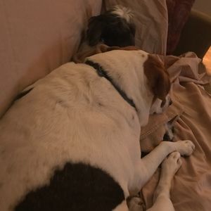 Meet your Posher, Foreverwander